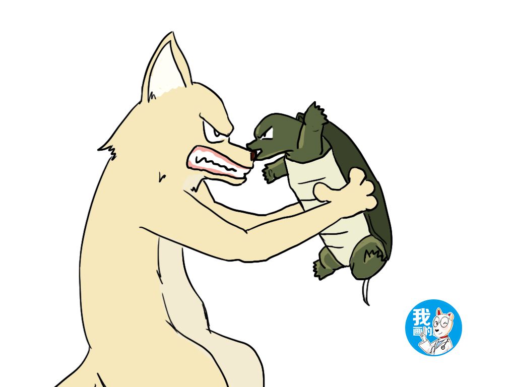 后院传来一声惨叫，主人查看后乐了：我和你吻“鳖”，在无人的街