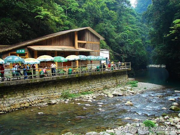黑山谷深度洗肺,重庆黑山谷游记