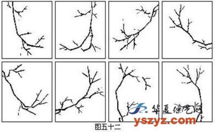 梅花画法简笔画,梅花画法的视频