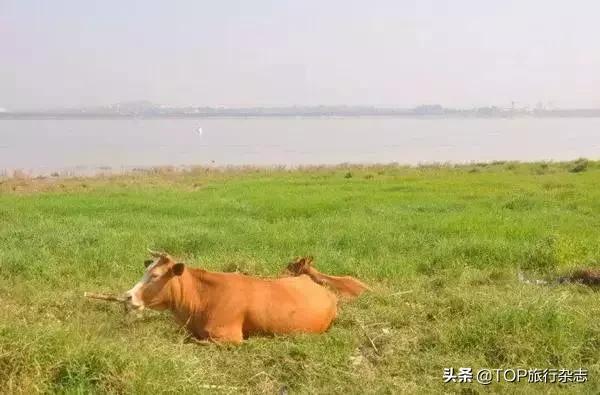 原来长沙隐藏了这14个人少景美的江心洲！不出城就能感受“海岛风情”，有些可以追溯到五代十国……