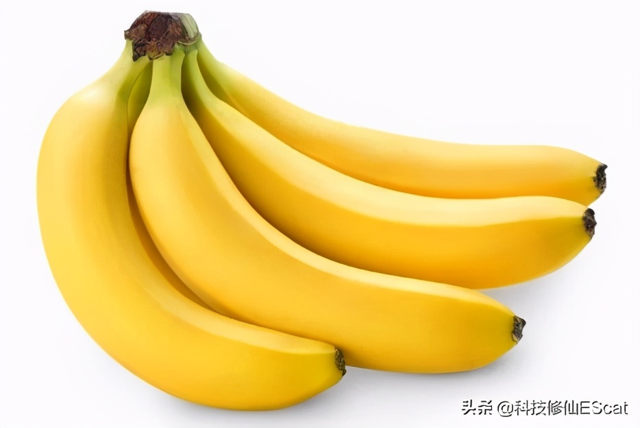 食用菠菜对人体有好处吗,吃菠菜可以预防什么疾病