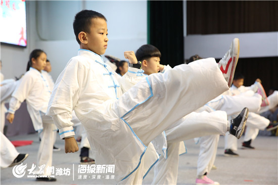 传统武术进学校,中华传统武术课