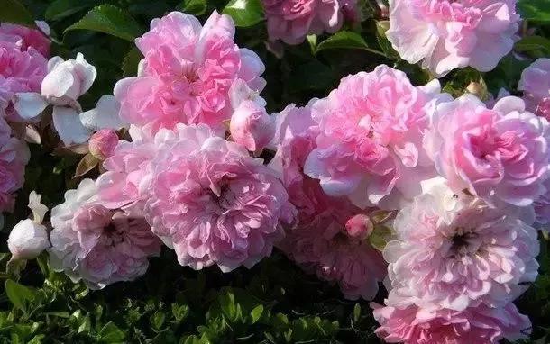 每天学习一点点女性小常识,每天学习一点点科普一下