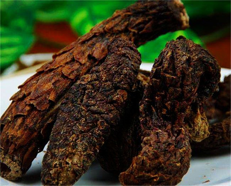 *疆新**沙漠有种昂贵的植物，开花像一座小宝塔，寄生在红柳根部