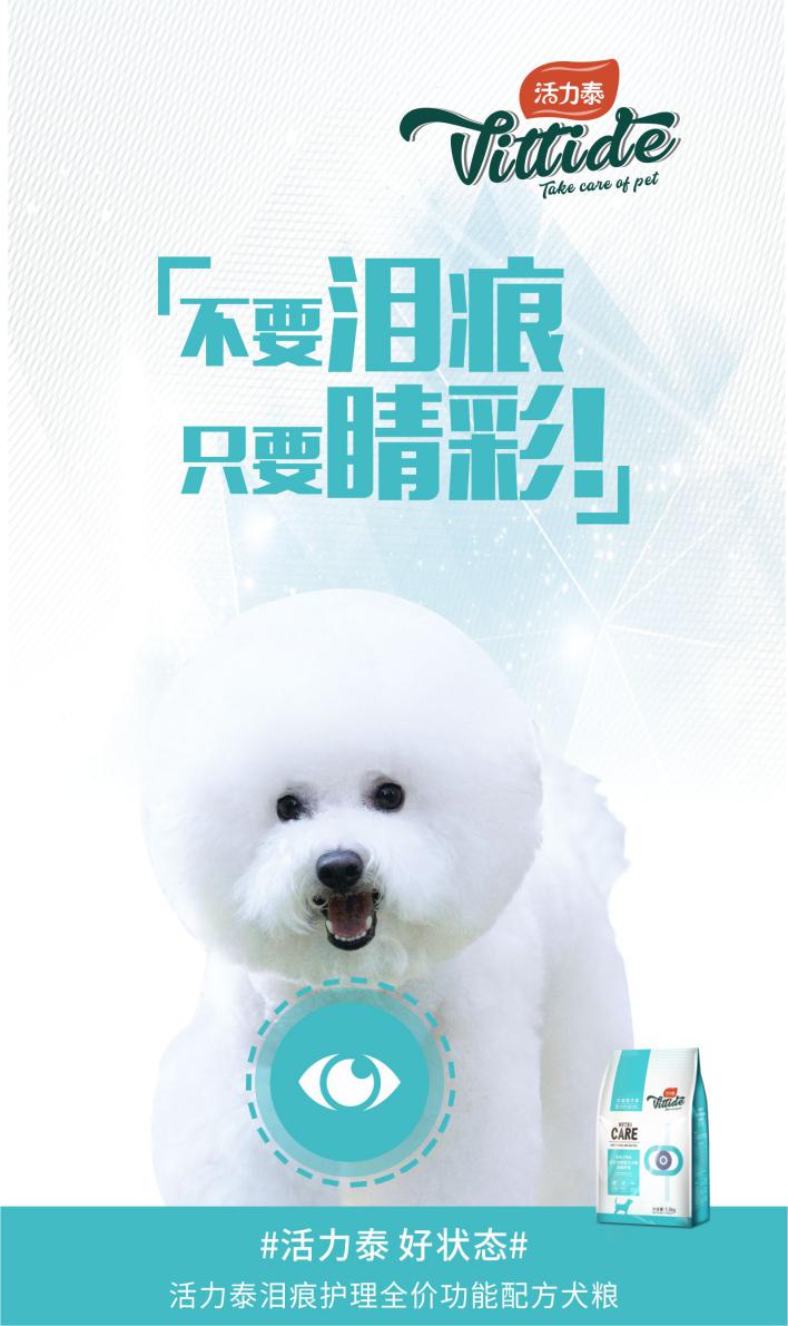 娄艺潇把李金铭宠成了妹妹,娄艺潇李金铭万籽麟