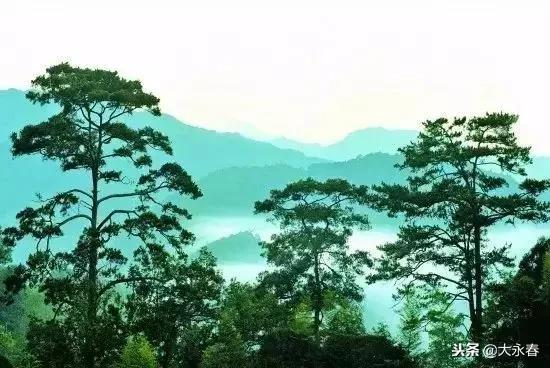 有一种生活叫永春湖洋,有一种生活叫永春夜景