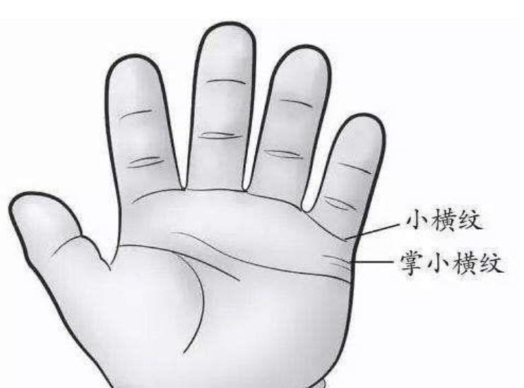 中医治哮喘最好的方子,中医杨效华治哮喘视频