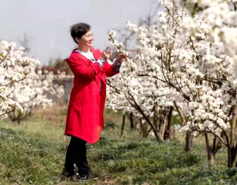 安徽省蚌埠市陆春燕,蚌埠陆春燕