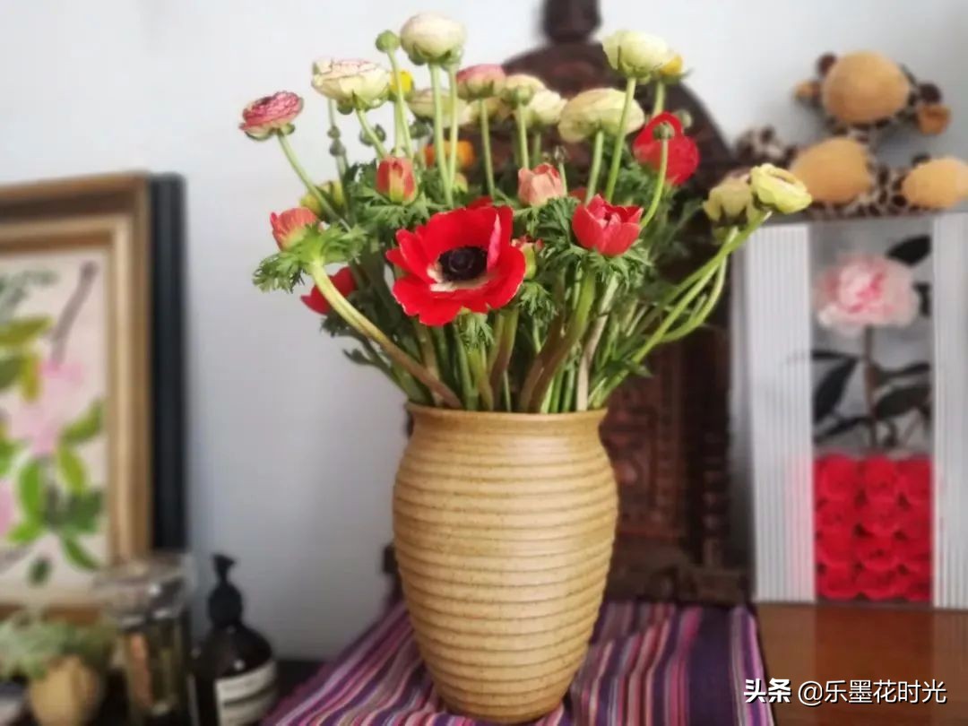 一件代发是风口还是割韭菜,花店一件代发