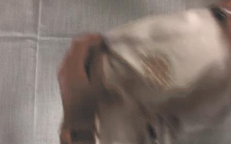 看乘风破浪的姐姐们如何c位出道,乘风破浪的姐姐们在哪里打call