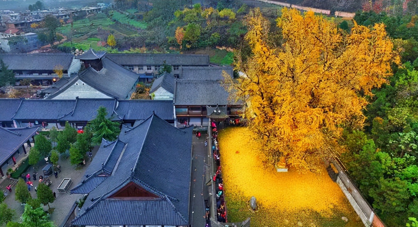 1011月错过它们,等于错过整个秋天!人少清净,随手一拍都是大片