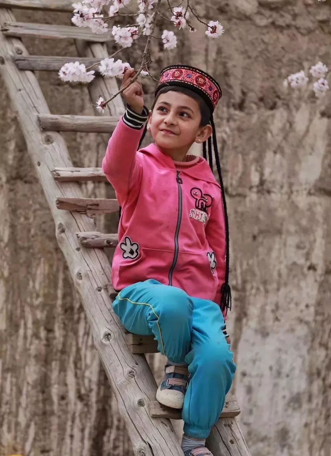 走马春季追花线|春漫*疆新**，牧笛声声中的杏花村