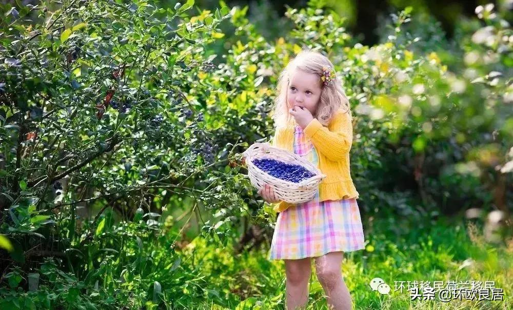 来荷兰，终于可以当亲妈了！