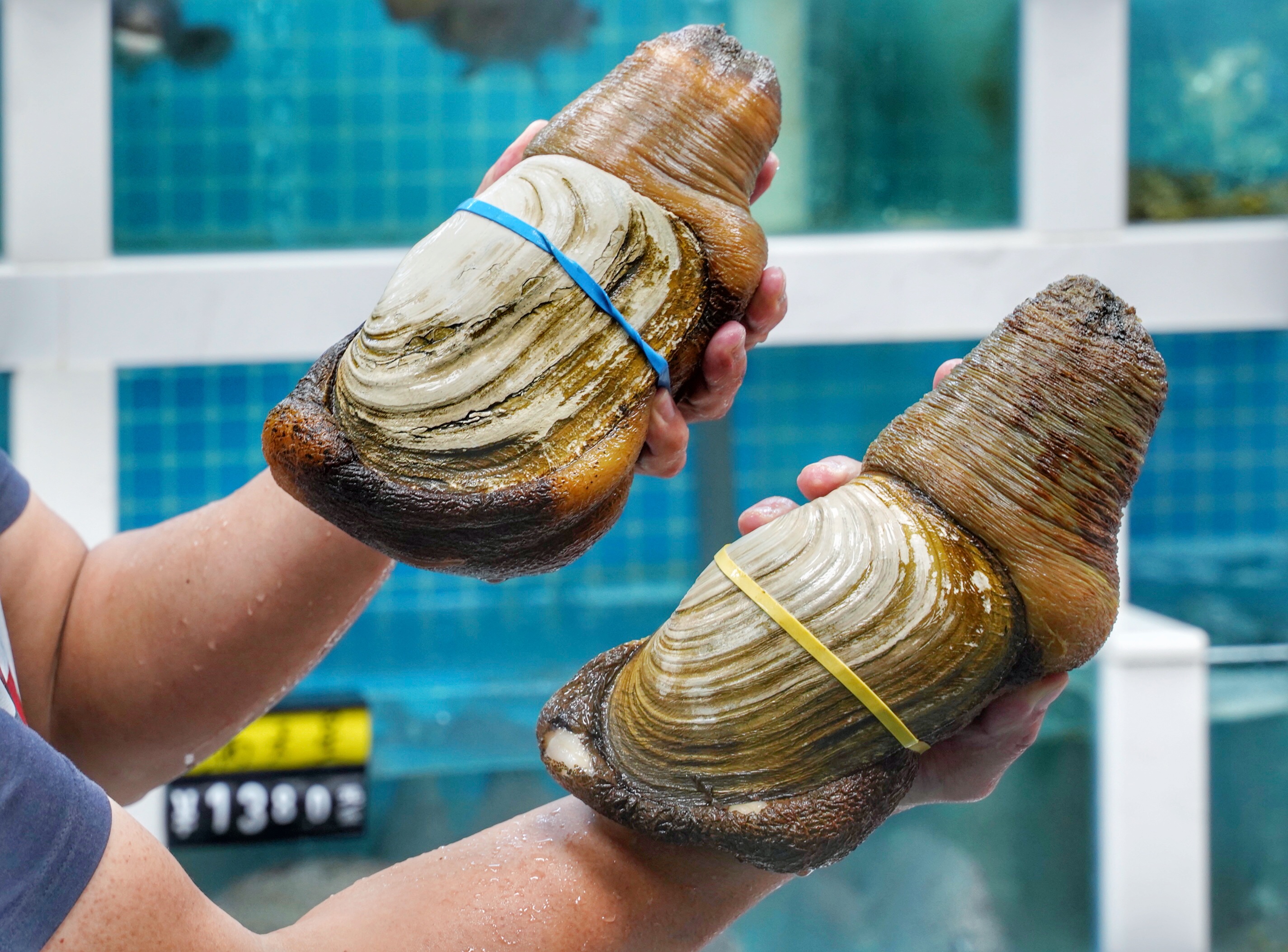 本地人都知道的海鲜大排档,都说来过还想再来