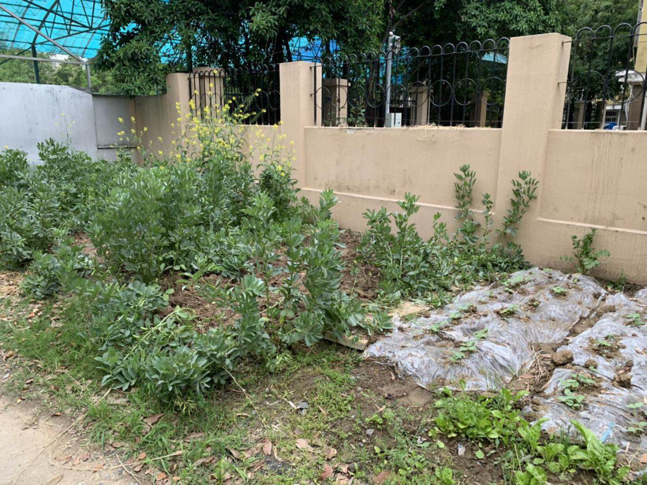 合肥高新区五大教育片区,合肥高新区兴园