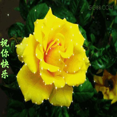 11.15,我把祝福送给你，幸福你每一秒，早晨好！