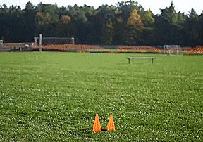 0基础个人防守教学,15种防守动作