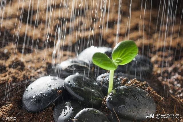 怎样才能练好字书法,怎样才能练好字呢