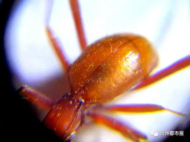 探索神秘岩洞,探秘山洞发现神秘生物