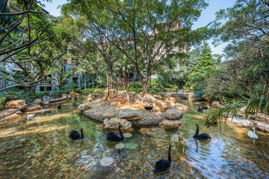 广州长隆野生动物世界附近的酒店,广州长隆酒店福利待遇