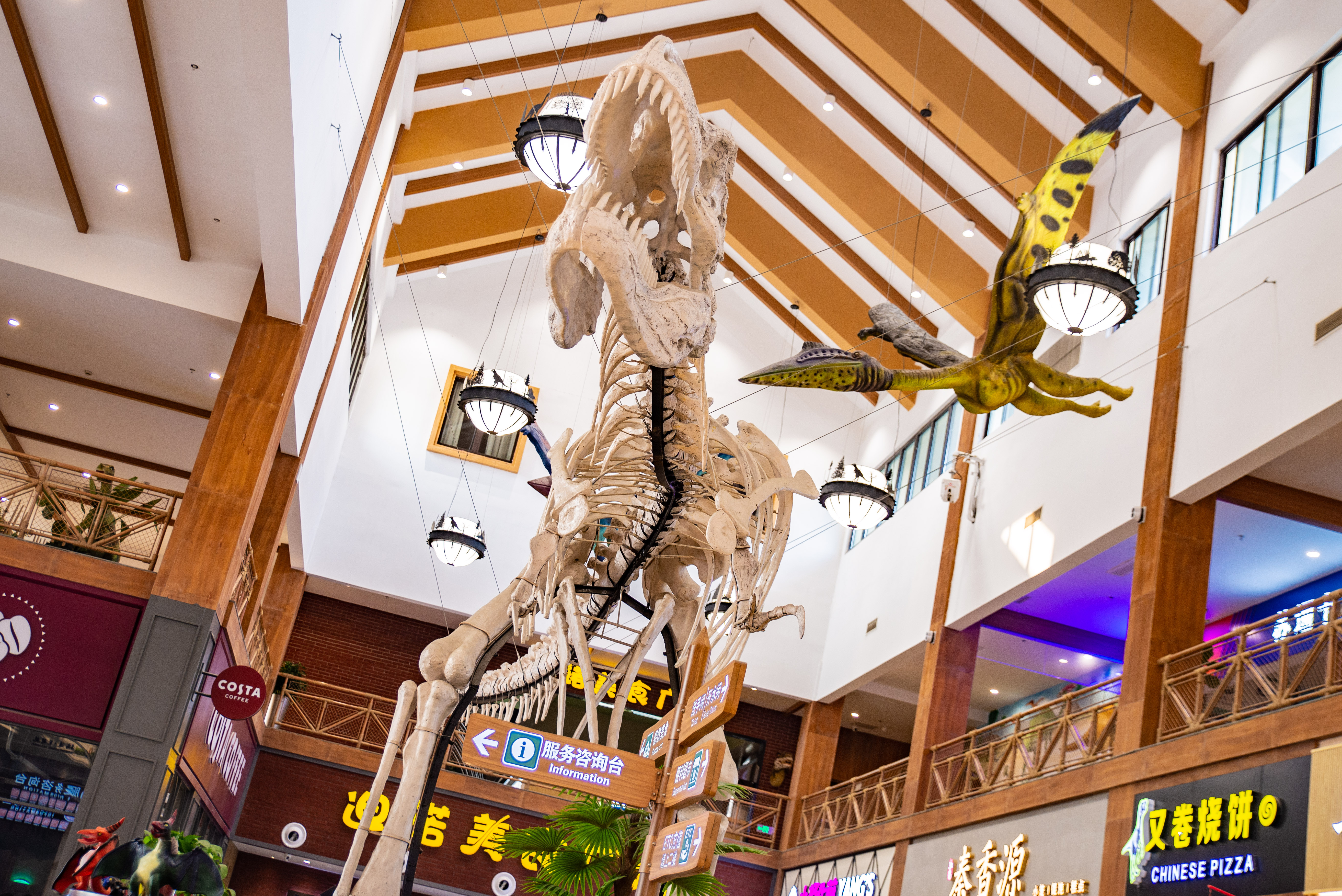 江苏常州网红服务区，春节往返车辆稀少，厕所成亮点