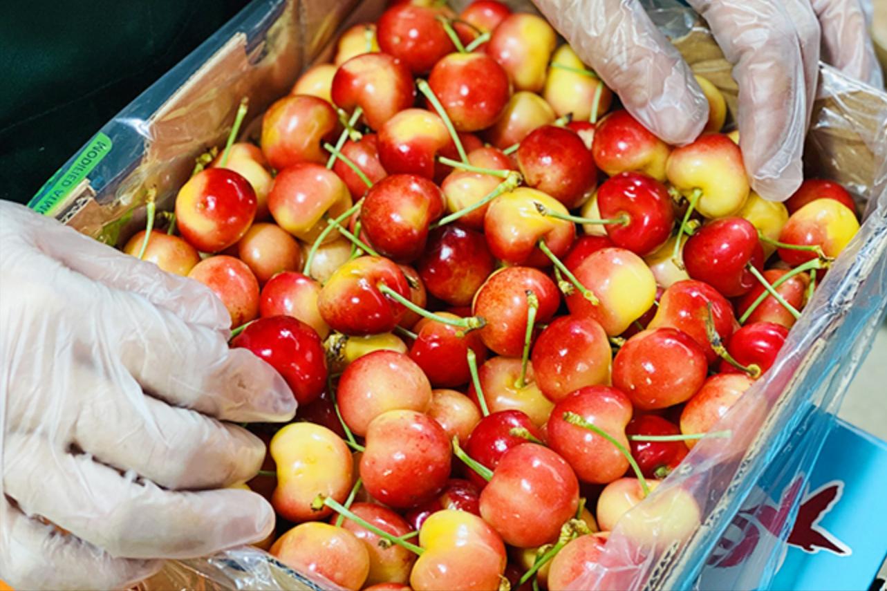 智利车厘子价格变化,智利车厘子真实价格7块一斤