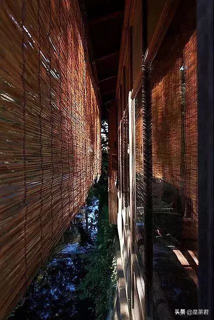 鏃ユ湰闄跺櫒鏈存嫏,闄跺櫒鏃ユ湰