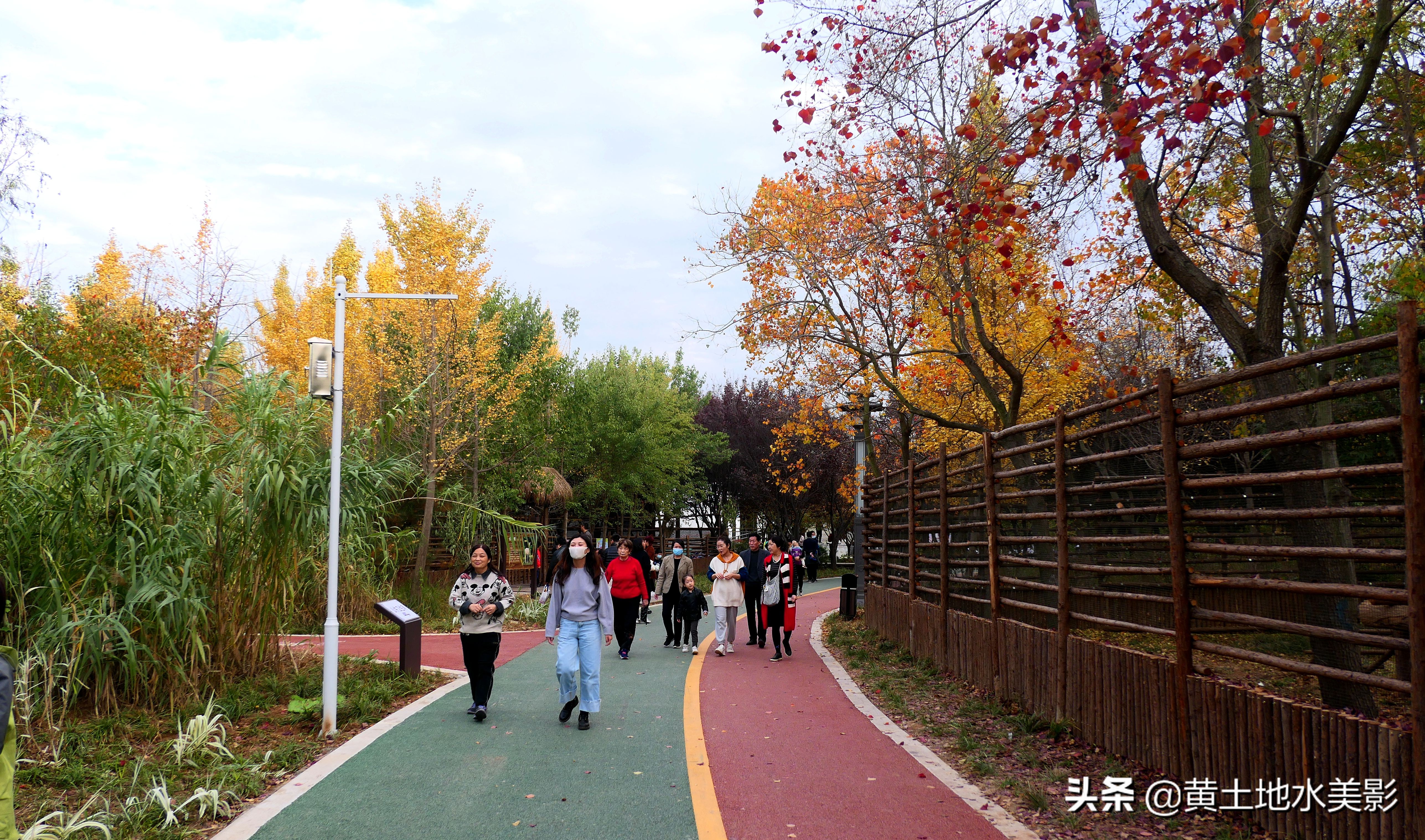 占地590亩的湿地公园,野生动物比较多的旅游景区