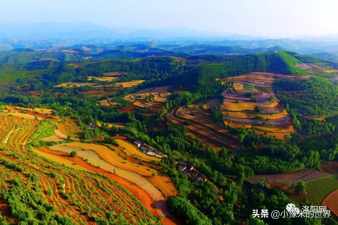 向洛阳人发出邀请国潮盛宴来袭,洛阳发布通知