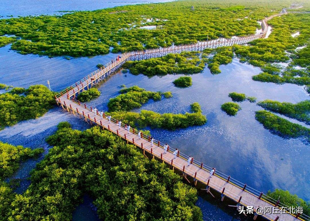 美了环境又可免费换北海热点门票，这等好事还不赶紧行动