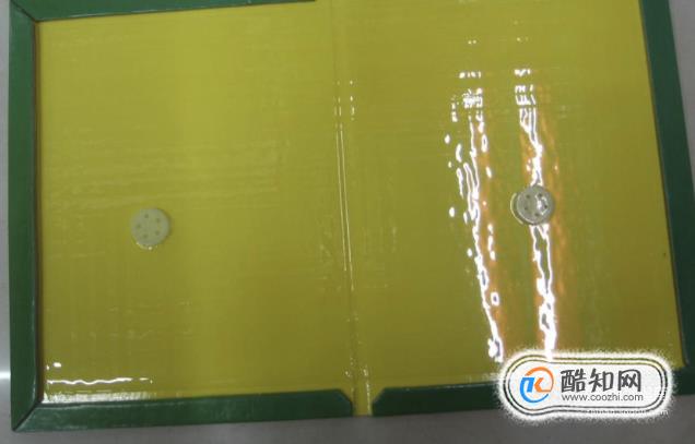 怎么消灭老鼠窝,怎么消灭老鼠跳蚤