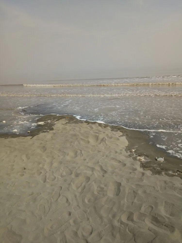 为什么江浙沪的海水很浑浊,为什么江浙沪海水是黄色