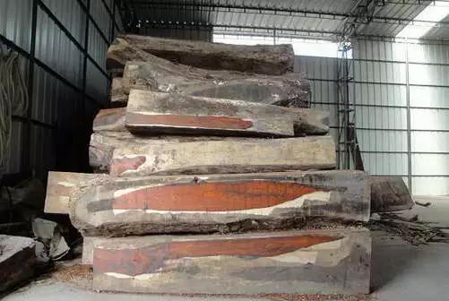 微凹黄檀和交趾黄檀的区别,交趾黄檀与微凹黄檀的区别