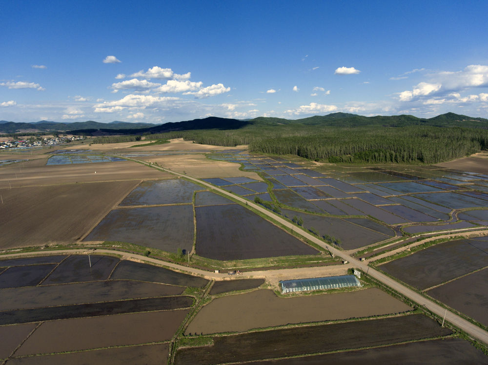 从村到镇广东乡村振兴开启新篇章,从暴风骤雨到山乡巨变