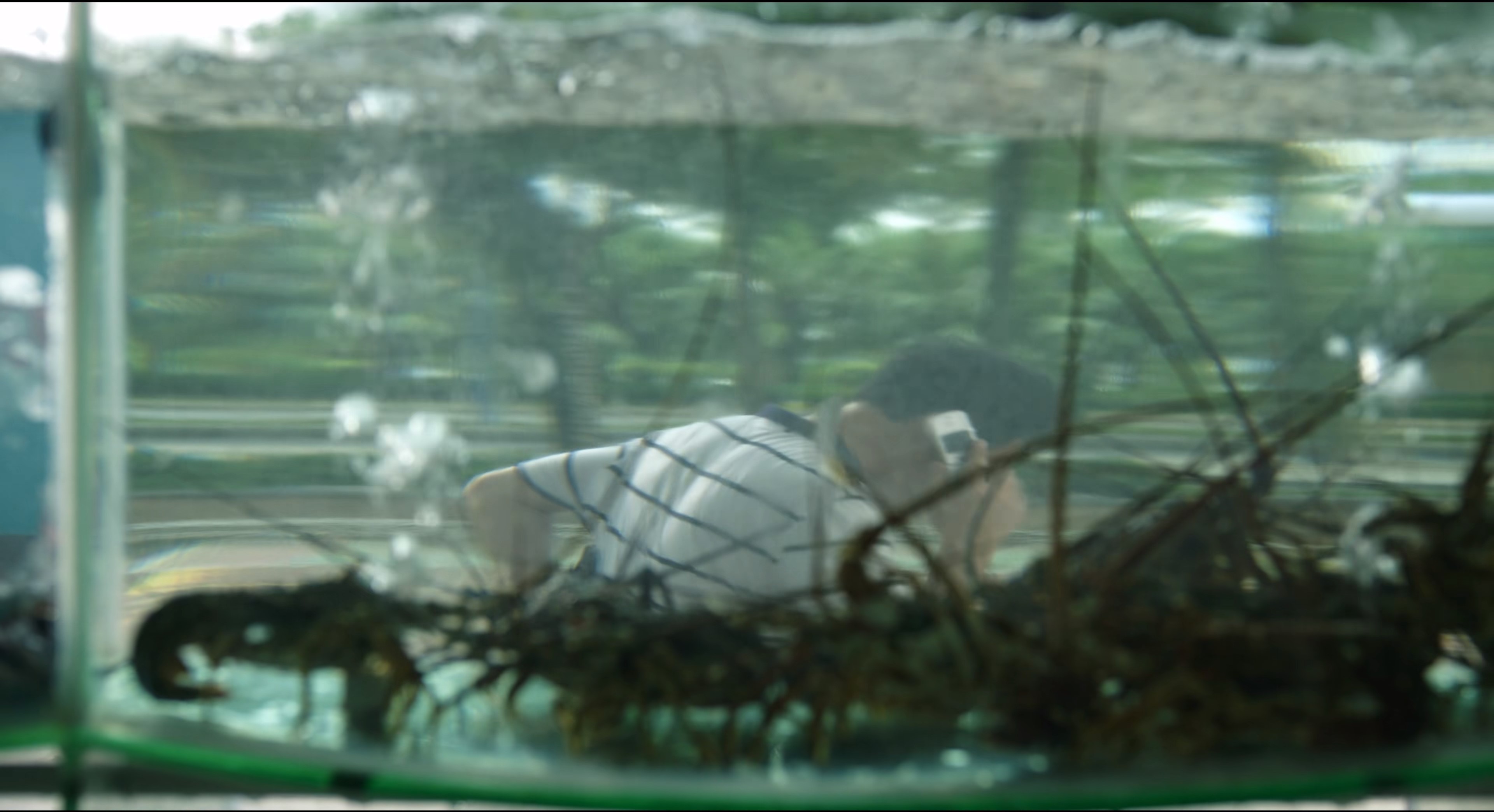 张东升约你去爬山，盘点《隐秘的角落》中角色们使用的手机型号