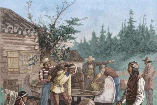 河狸皮毛的优点,河狸皮毛十分名贵