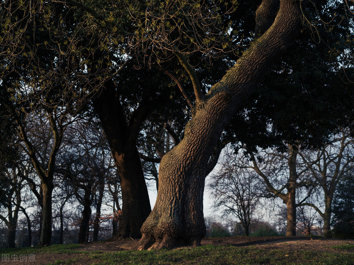 学隐身术被朋友骗,学隐身术视频