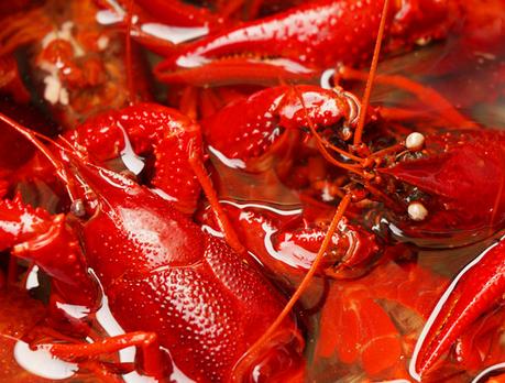 清洗小龙虾可以用料酒洗吗,用什么清洗小龙虾又快又干净