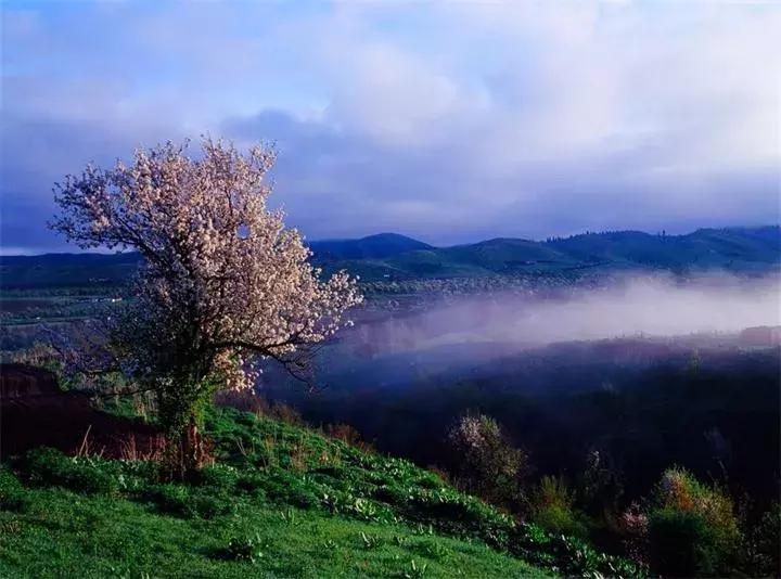 国家认证！*疆新**又一城市成为“中国天然氧吧”，大自然“空调房”就在……