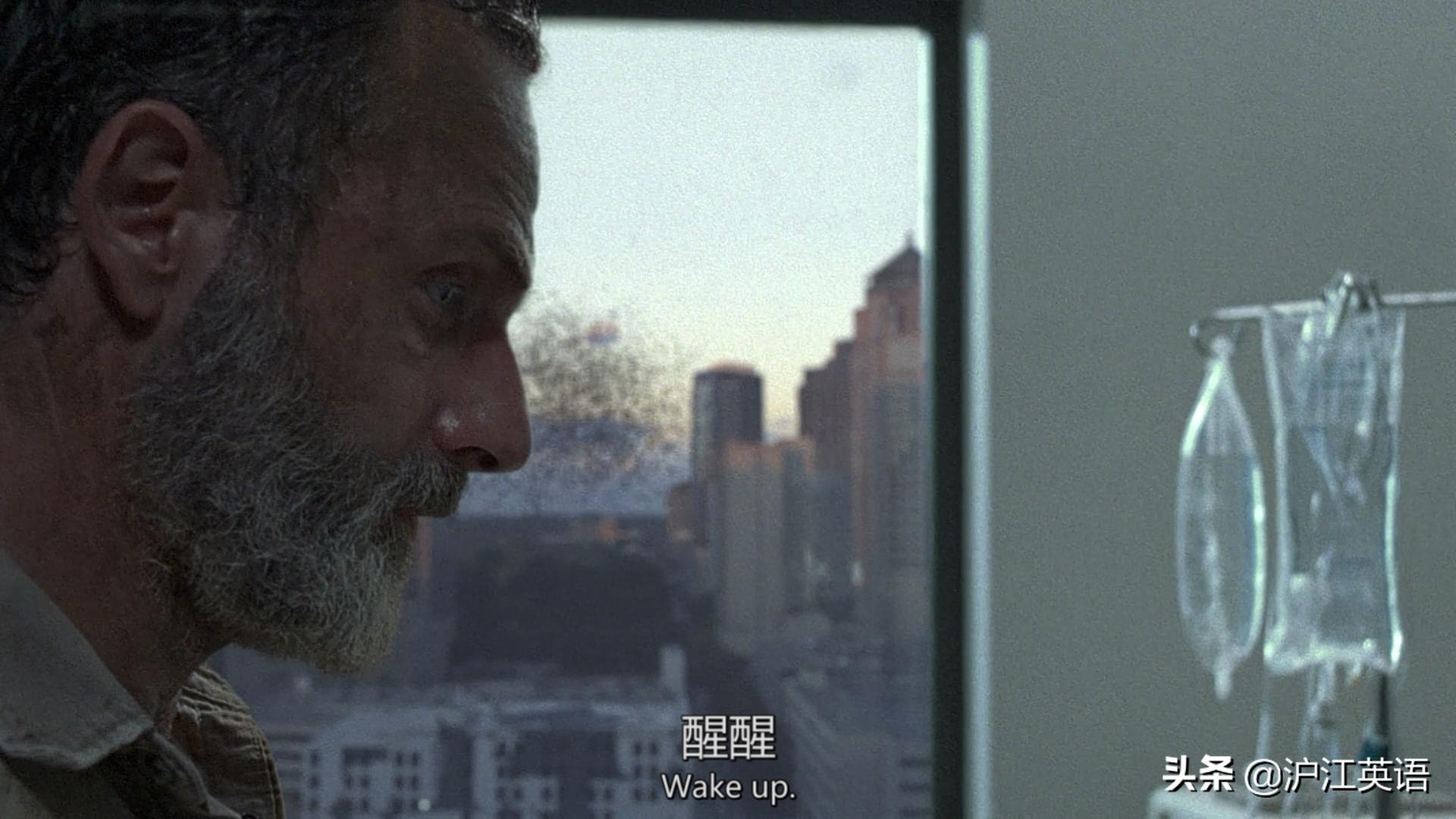 行尸走肉换导演,行尸走肉历经12年迎来大结局