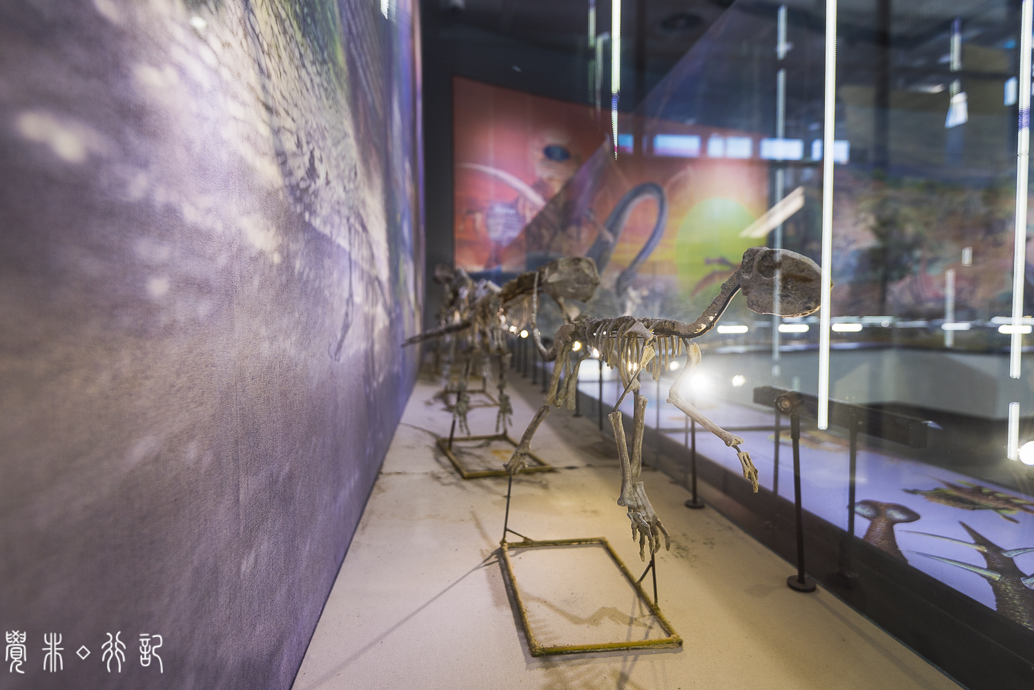 莱阳白垩纪国家森林公园,莱阳白垩纪公园