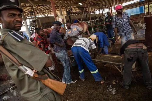 腐败非洲：啥劫匪……黑叔叔居然被一瓶可口可乐就给收买了。