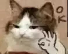 牙白一度颜值瞬间升三度,牙齿白有多重要