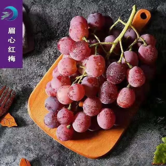 参展企业介绍,参展种业博览会的公司