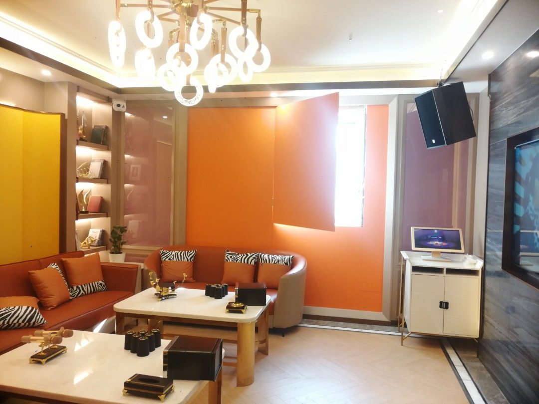 唐龙太极音响运动会,唐龙太极最高端娱乐音响