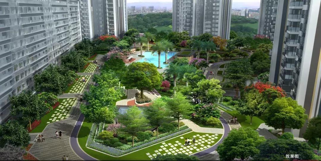 高考放榜正能量,高考放榜之一举夺魁素材