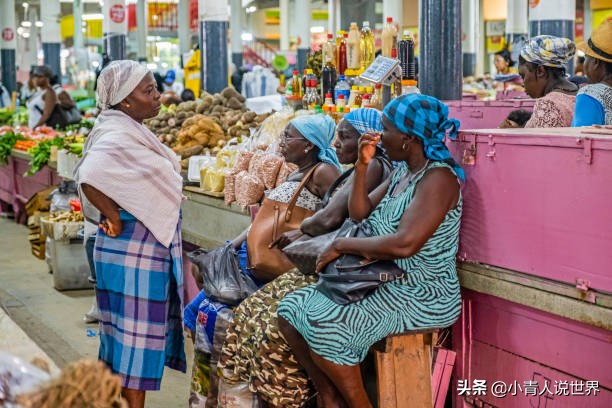 苏里南是荷兰的殖民地吗,南美洲的官方语言是什么