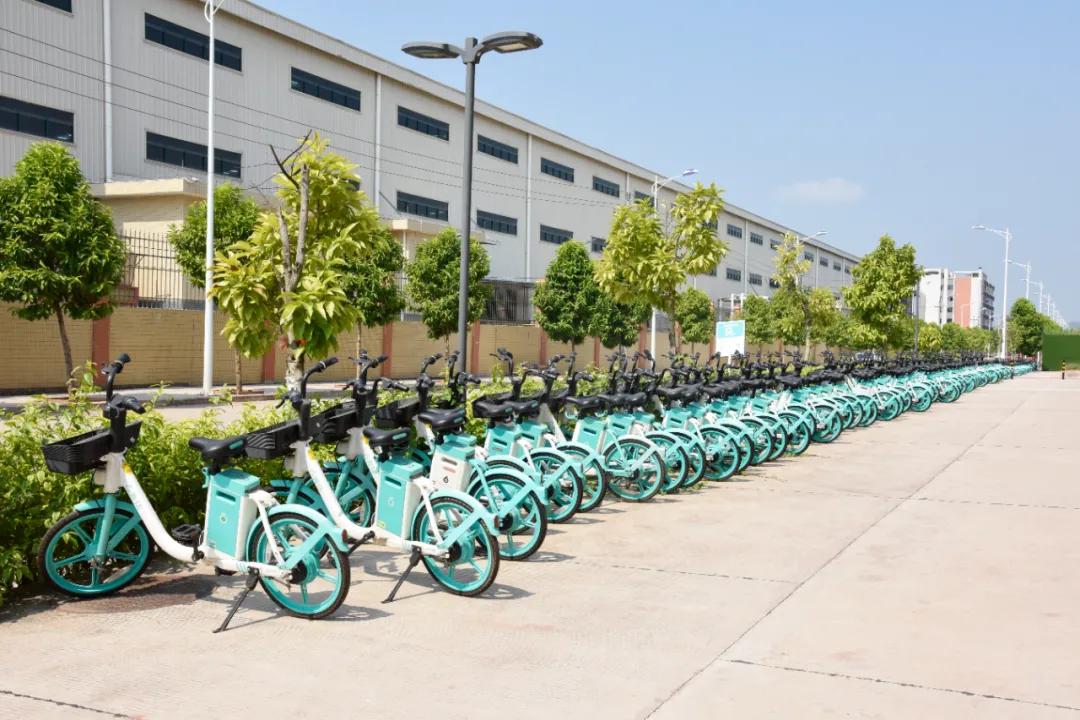 怀集产业发展,砥砺五载换新颜