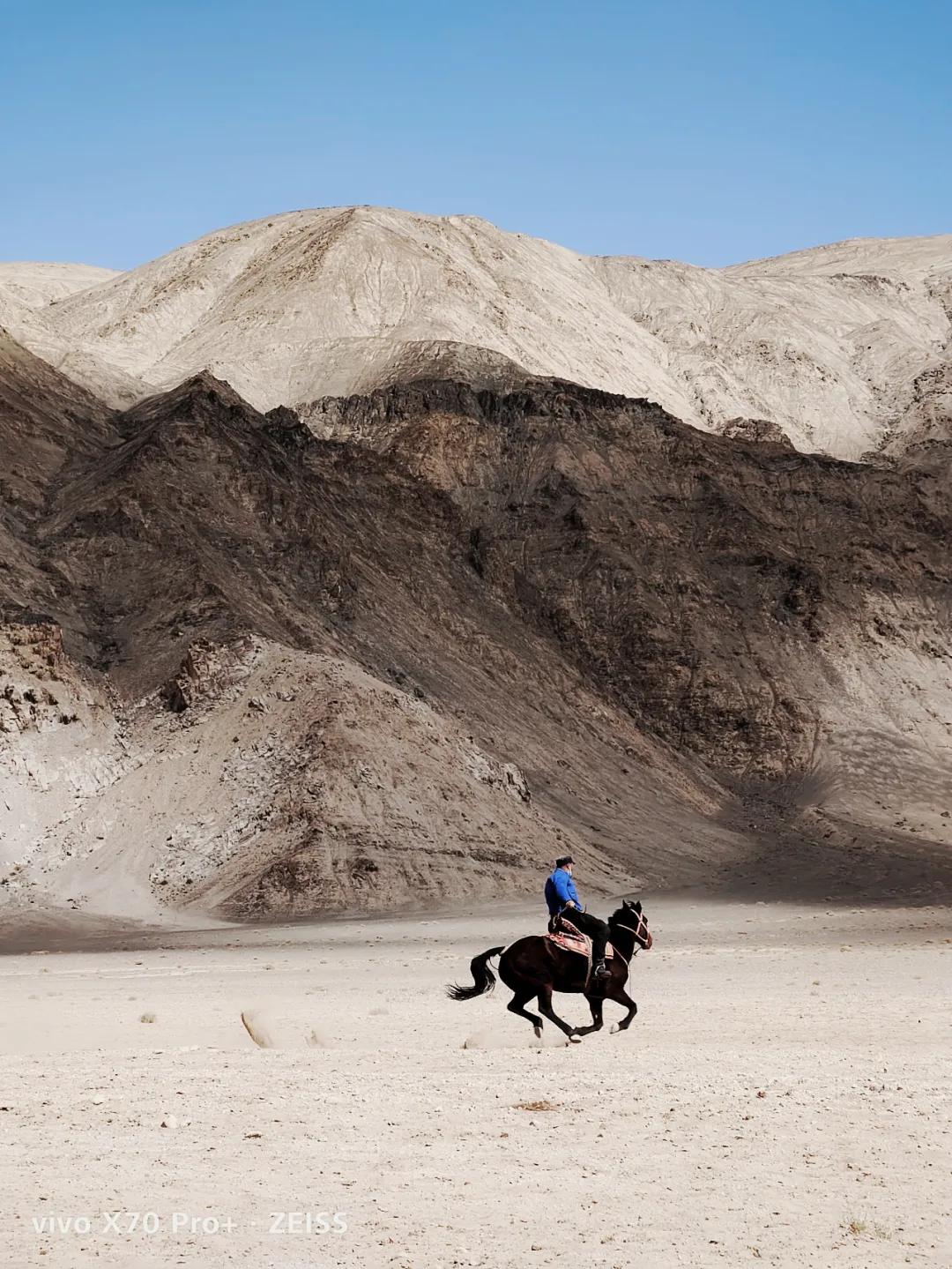 vivo自带相机软件,vivo手机摄影自学入门教程