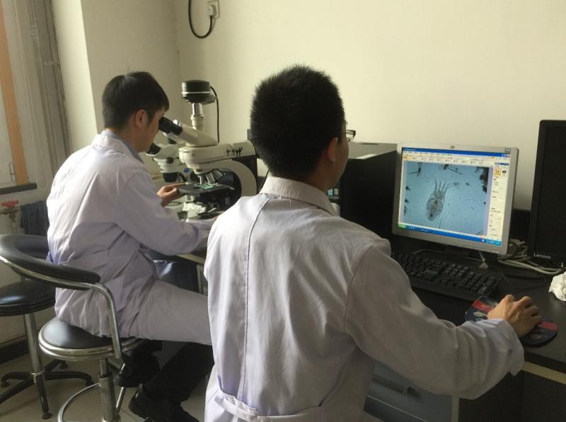 北京水质检测报告,北京水生态检测报告